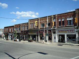 shelburne web design services